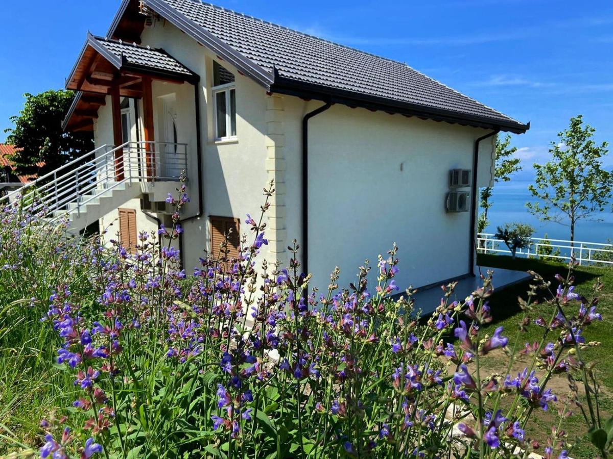 Xhuli Guesthouse Shkodër Eksteriør billede