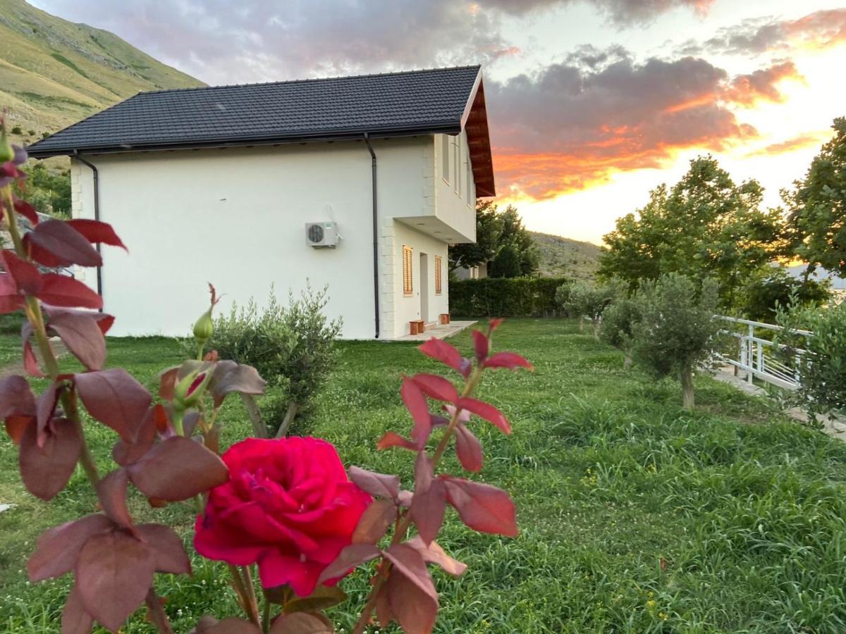 Xhuli Guesthouse Shkodër Eksteriør billede