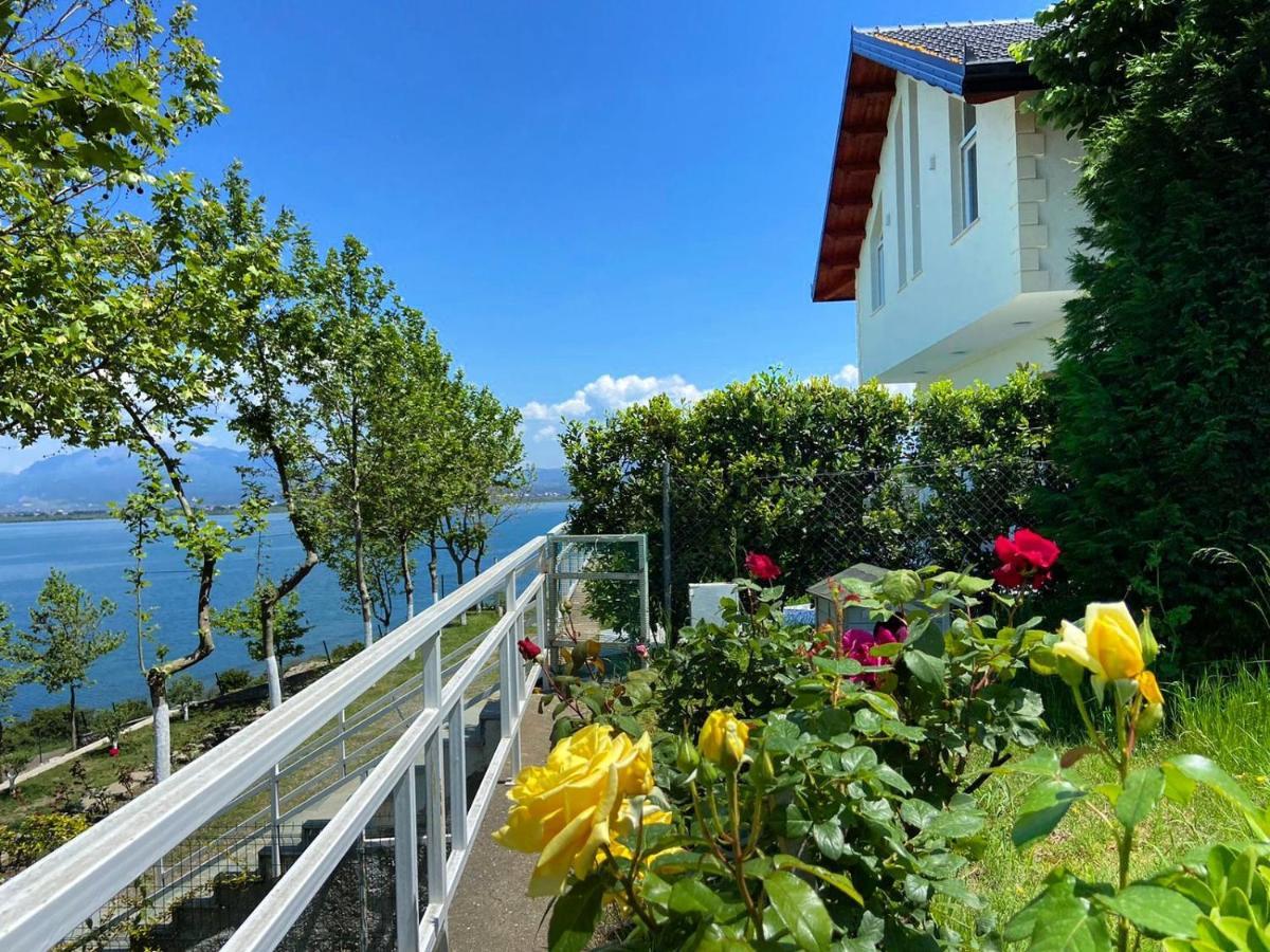 Xhuli Guesthouse Shkodër Eksteriør billede