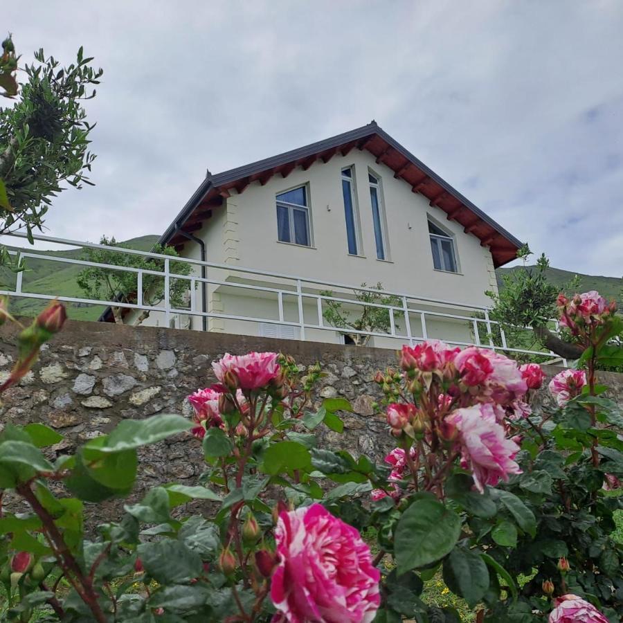 Xhuli Guesthouse Shkodër Eksteriør billede