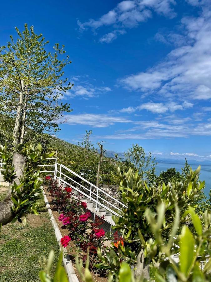 Xhuli Guesthouse Shkodër Eksteriør billede