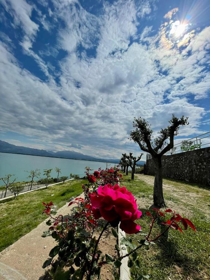 Xhuli Guesthouse Shkodër Eksteriør billede